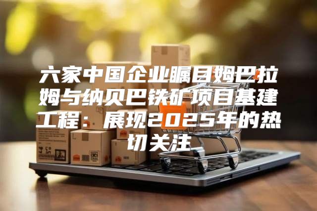 六家中国企业瞩目姆巴拉姆与纳贝巴铁矿项目基建工程：展现2025年的热切关注