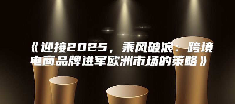 迎接2025，乘风破浪：跨境电商品牌进军欧洲市场的策略