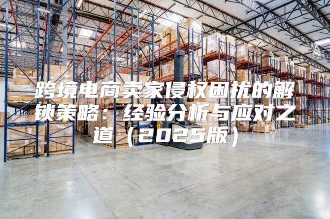 跨境电商卖家侵权困扰的解锁策略：经验分析与应对之道2025版