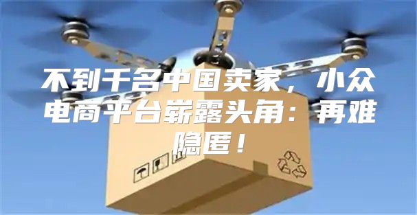 不到千名中国卖家，小众电商平台崭露头角：再难隐匿！