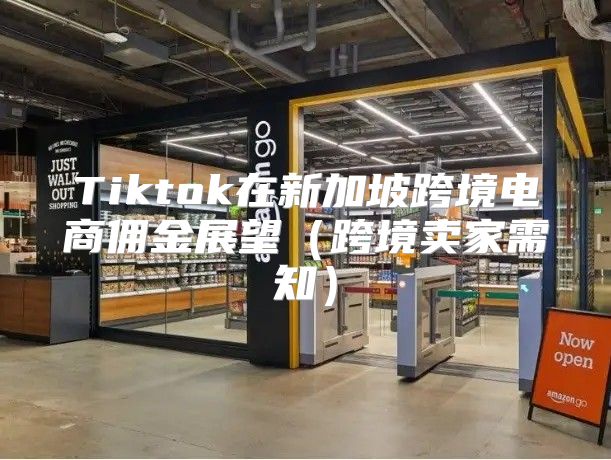 Tiktok在新加坡跨境电商佣金展望跨境卖家需知