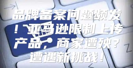 品牌备案问题频发！亚马逊限制上传产品，商家遭殃？遭遇新挑战！