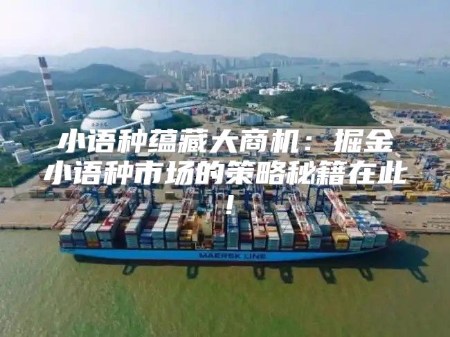 小语种蕴藏大商机：掘金小语种市场的策略秘籍在此！