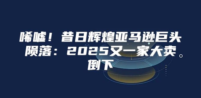 唏嘘！昔日辉煌亚马逊巨头陨落：2025又一家大卖倒下