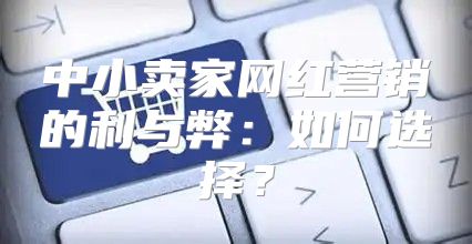 中小卖家网红营销的利与弊：如何选择？