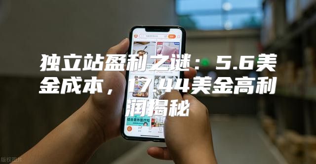 独立站盈利之谜：5.6美金成本，17.44美金高利润揭秘