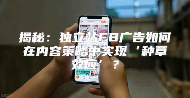揭秘：独立站FB广告如何在内容策略中实现‘种草效应’？