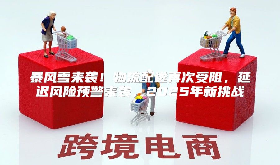 暴风雪来袭！物流配送再次受阻，延迟风险预警来袭，2025年新挑战