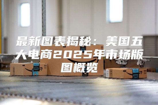 最新图表揭秘：美国五大电商2025年市场版图概览