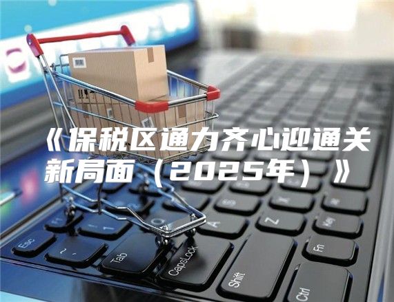 保税区通力齐心迎通关新局面2025年