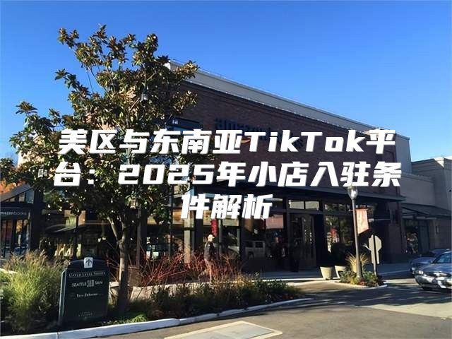 美区与东南亚TikTok平台：2025年小店入驻条件解析