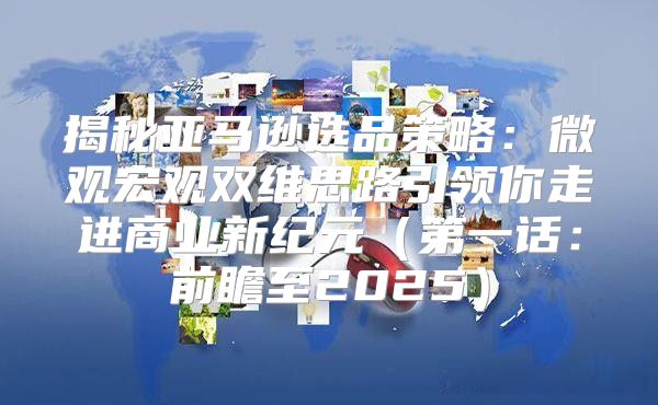揭秘亚马逊选品策略：微观宏观双维思路引领你走进商业新纪元第一话：前瞻至2025