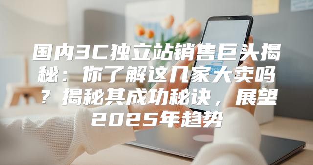 国内3C独立站销售巨头揭秘：你了解这几家大卖吗？揭秘其成功秘诀，展望2025年趋势