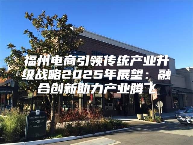 福州电商引领传统产业升级战略2025年展望：融合创新助力产业腾飞