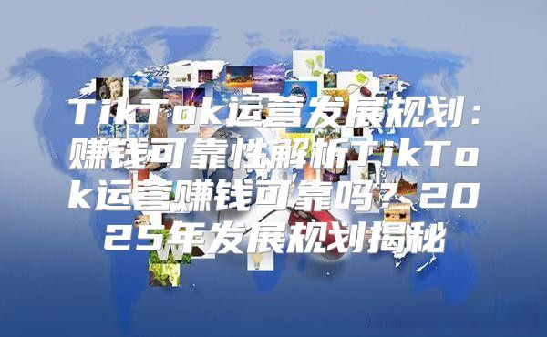 TikTok运营发展规划：赚钱可靠性解析TikTok运营赚钱可靠吗？2025年发展规划揭秘