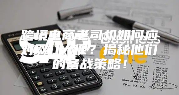 跨境电商老司机如何应对双11大促？揭秘他们的备战策略！