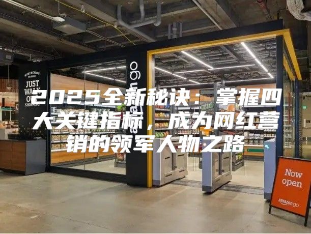 2025全新秘诀：掌握四大关键指标，成为网红营销的领军人物之路