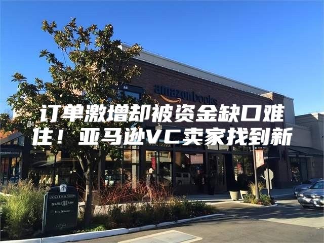 订单激增却被资金缺口难住！亚马逊VC卖家找到新