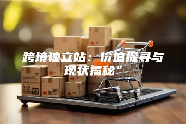 跨境独立站：价值探寻与现状揭秘”
