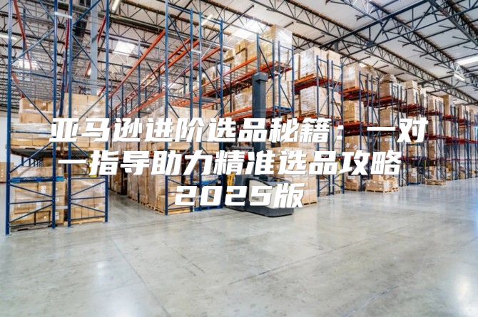 亚马逊进阶选品秘籍：一对一指导助力精准选品攻略 2025版