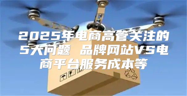 2025年电商高管关注的5大问题 品牌网站VS电商平台服务成本等