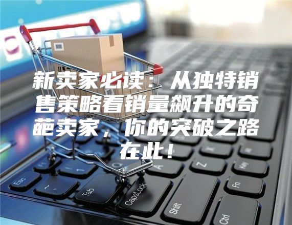 新卖家必读：从独特销售策略看销量飙升的奇葩卖家，你的突破之路在此！