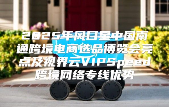 2025年风口星中国南通跨境电商选品博览会亮点及视界云VIPSpeed跨境网络专线优势