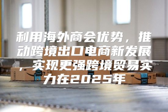 利用海外商会优势，推动跨境出口电商新发展，实现更强跨境贸易实力在2025年