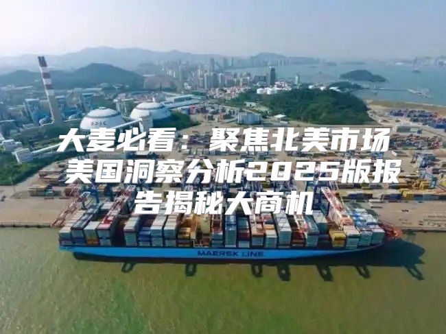 大麦必看：聚焦北美市场 美国洞察分析2025版报告揭秘大商机