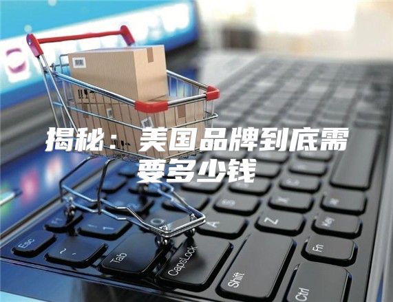 揭秘：美国品牌到底需要多少钱