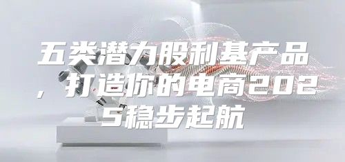 五类潜力股利基产品，打造你的电商2025稳步起航