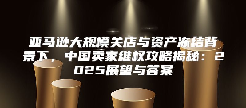 亚马逊大规模关店与资产冻结背景下，中国卖家维权攻略揭秘：2025展望与答案