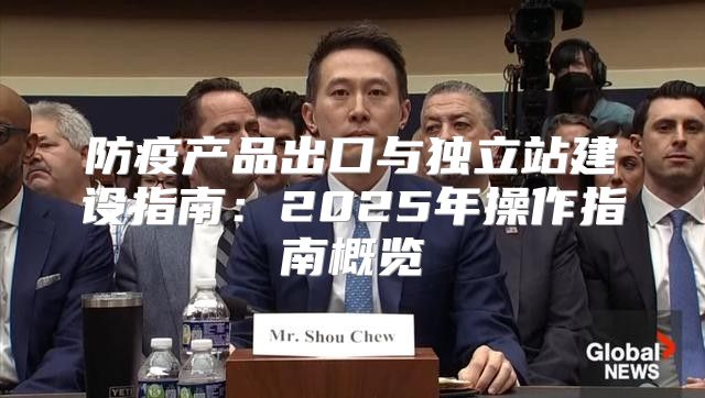 防疫产品出口与独立站建设指南：2025年操作指南概览