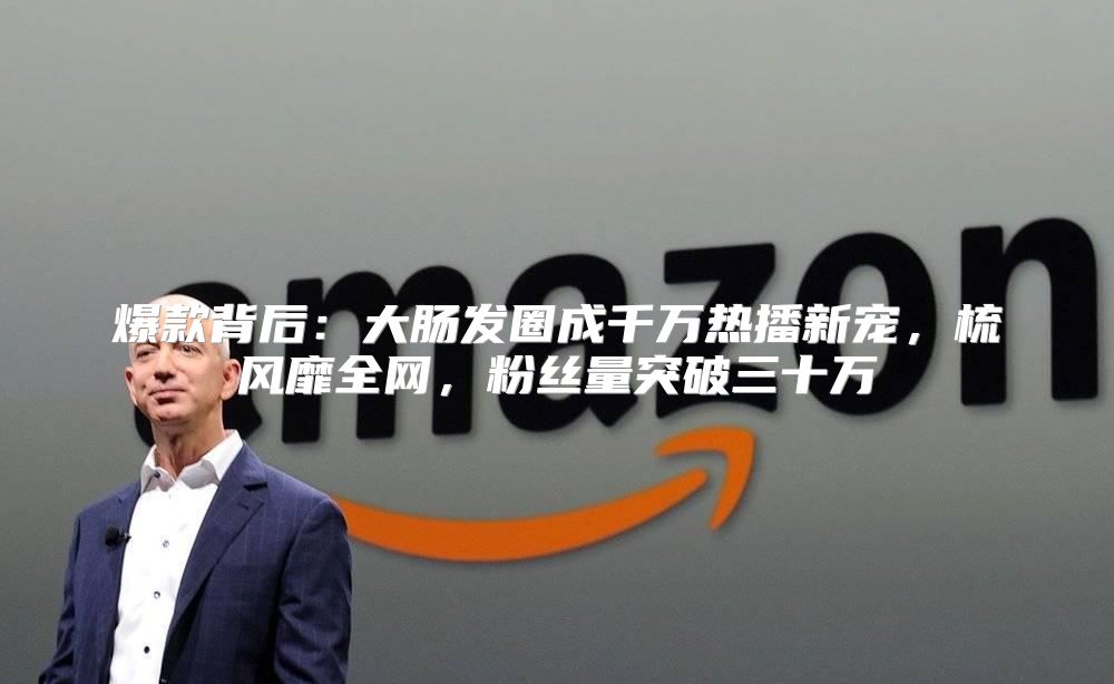 爆款背后：大肠发圈成千万热播新宠，梳风靡全网，粉丝量突破三十万