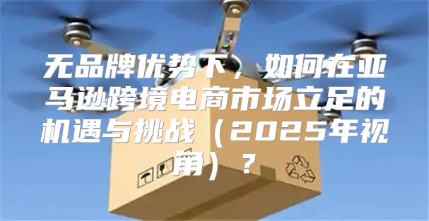 无品牌优势下，如何在亚马逊跨境电商市场立足的机遇与挑战2025年视角？