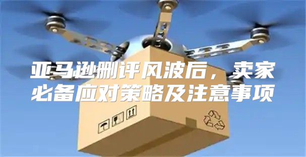 亚马逊删评风波后，卖家必备应对策略及注意事项