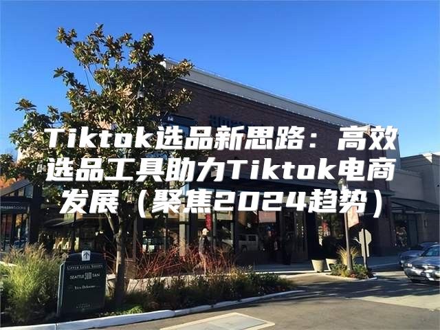 Tiktok选品新思路：高效选品工具助力Tiktok电商发展聚焦2025趋势