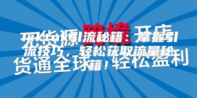Tiktok引流秘籍：掌握引流技巧，轻松获取流量秘籍！
