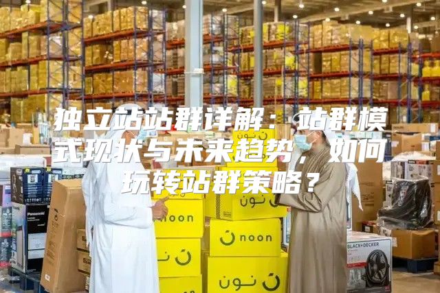 独立站站群详解：站群模式现状与未来趋势，如何玩转站群策略？