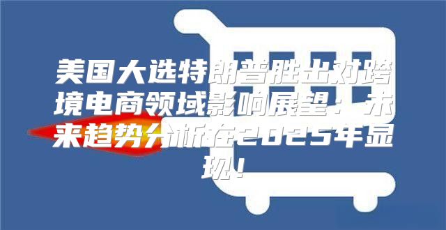 美国大选特朗普胜出对跨境电商领域影响展望：未来趋势分析在2025年显现！