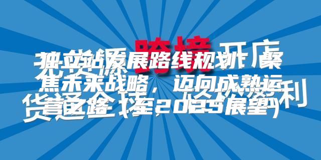 独立站发展路线规划：聚焦未来战略，迈向成熟运营之路至2025展望