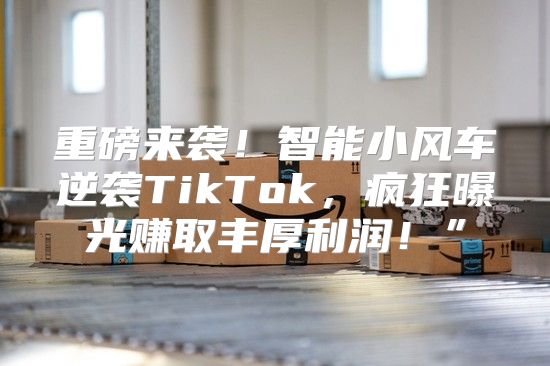 重磅来袭！智能小风车逆袭TikTok，疯狂曝光赚取丰厚利润！”
