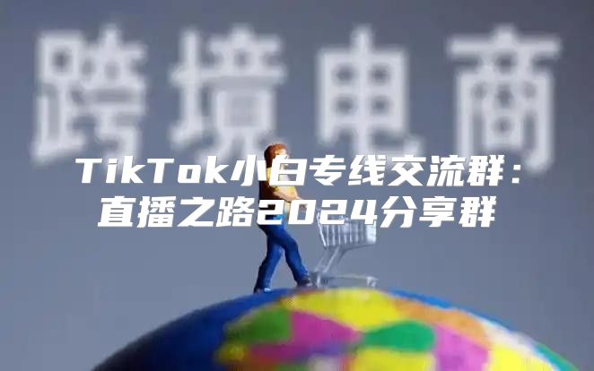 TikTok小白专线交流群：直播之路2025分享群