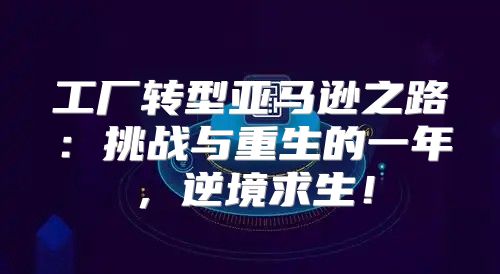 工厂转型亚马逊之路：挑战与重生的一年，逆境求生！