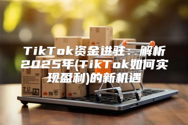 TikTok资金进驻：解析2025年(TikTok如何实现盈利)的新机遇