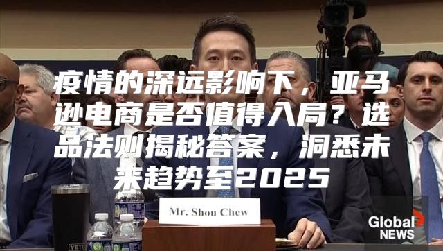 疫情的深远影响下，亚马逊电商是否值得入局？选品法则揭秘答案，洞悉未来趋势至2025