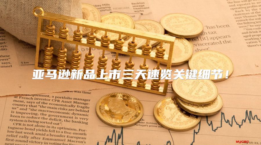亚马逊新品上市三天速览关键细节！