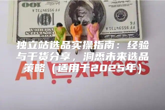 独立站选品实操指南：经验与干货分享，洞悉未来选品策略适用于2025年