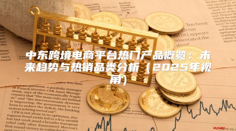 中东跨境电商平台热门产品概览：未来趋势与热销品类分析2025年视角