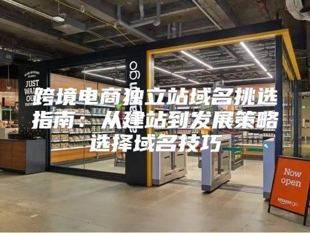 跨境电商独立站域名挑选指南：从建站到发展策略选择域名技巧